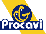 Procavi